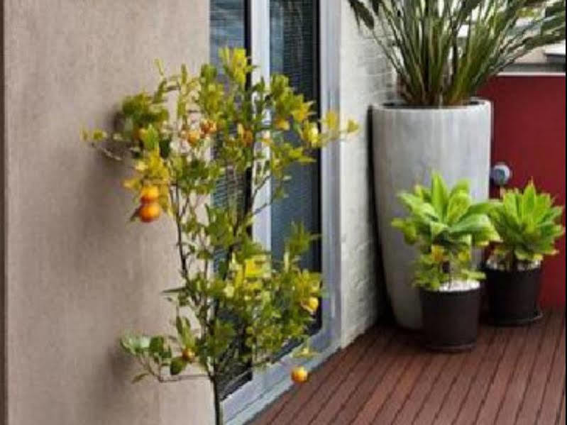 Twofourtwo Boutique Apartments Launceston Luaran gambar